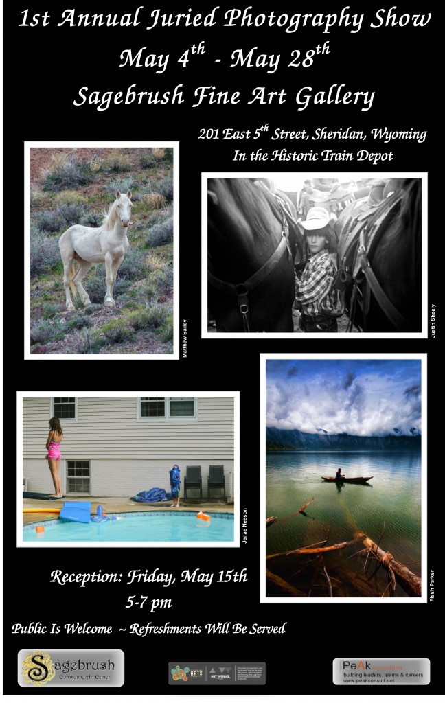 First Juried Photography Poster May 2015